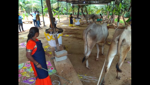 10 ಗಾಣಗಳನ್ನು ಇಟ್ಟುಕೊಂಡರೆ 30 ಜನರಿಗೆ ಕೆಲಸ