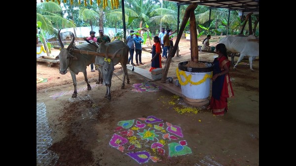 ಕೃಷಿ ಚಟುವಟಿಕೆಗಳು ಕಣ್ಮರೆ