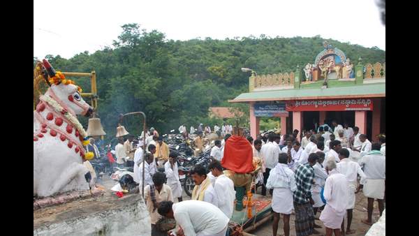 ಜಾನುವಾರುಗಳ ರಕ್ಷಣೆಗೆ ಹರಕೆ ಸಲ್ಲಿಕೆ