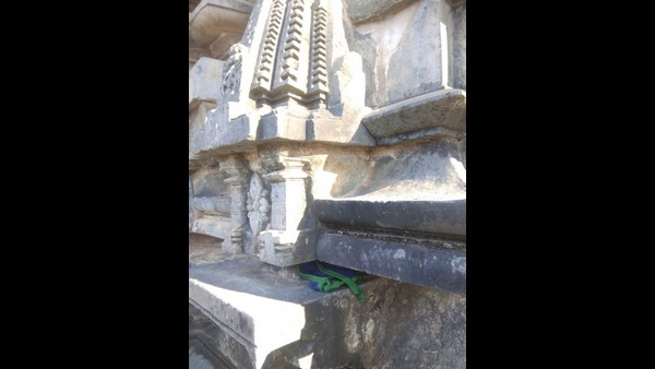 ಸ್ವಚ್ಛತೆಗೆ ಆದ್ಯತೆ ನೀಡುತ್ತಿಲ್ಲ