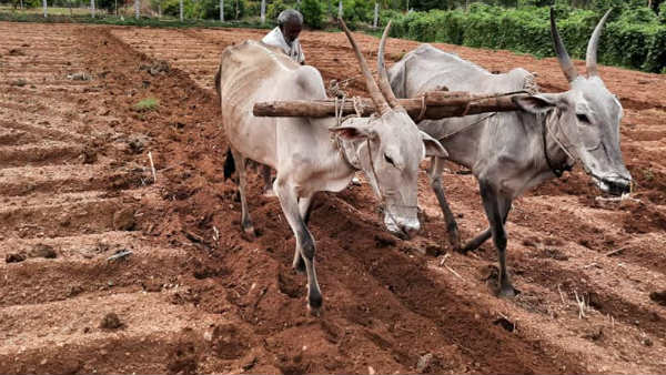 ವಿವಾದಗಳ ಇತ್ಯರ್ಥಕ್ಕೆ ಕಾಲಮಿತಿ