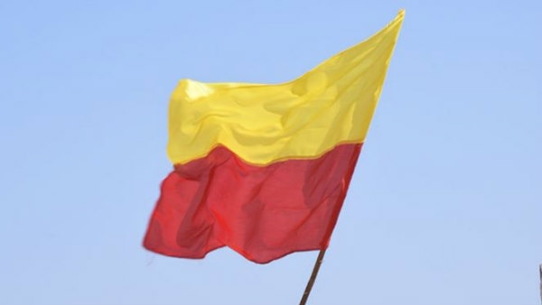 ಡಾ.ಕೆ.ವಿ.ನಾರಾಯಣ ಭಾಷಾಶಾಸ್ತ್ರಜ್ಞರ ಅಭಿಪ್ರಾಯ