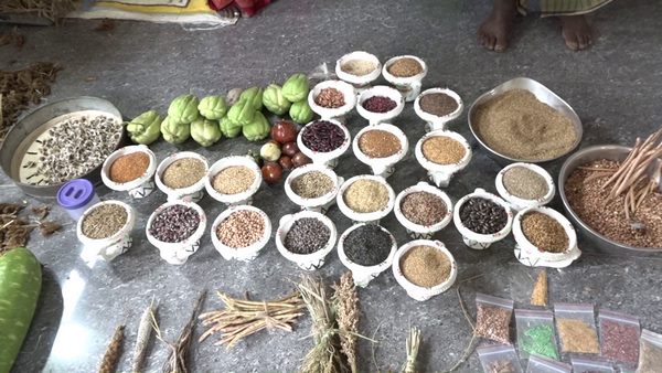 ಪತಿಯೊಂದಿಗೆ ಸೇರಿ ಮೂವತ್ತು ವರ್ಷಗಳಿಂದ ಈ ಕಾಯಕ