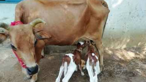 ಒಂದು ವರ್ಷದ ವಹಿವಾಟು 20 ಸಾವಿರ ಕೋಟಿ