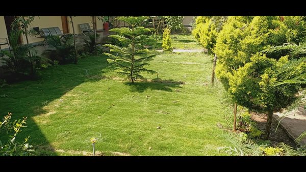 ಕಾಂಪೌಂಡ್ನಲ್ಲಿ ಮೂಡಿದ ಸುಂದರ ಚಿತ್ರಗಳು