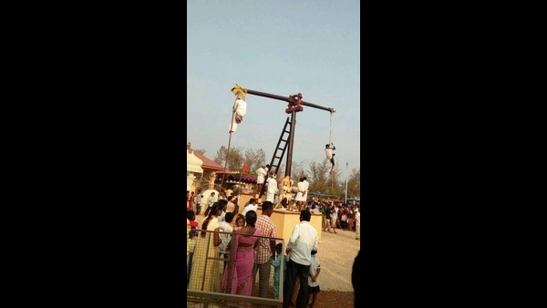 ಶೇಡಬರಿ ಜಾತ್ರೆಯಲ್ಲಿ ಶೇಡಿ ಮರ ಹತ್ತುವ ಹರಕೆ