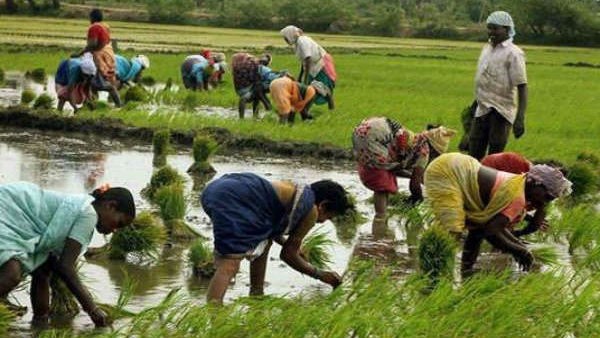 ಕೃಷಿ ಕ್ಷೇತ್ರದ ಮುಂದಿನ ಬೆಳವಣಿಗೆಯೇನು?