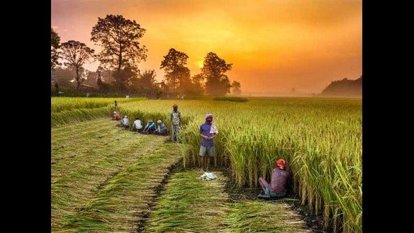 ರೈತರಿಗೆ ಸಮಾಧಾನಪಡಿಸುವ ಸಾಧ್ಯತೆಯಿದೆಯೇ?