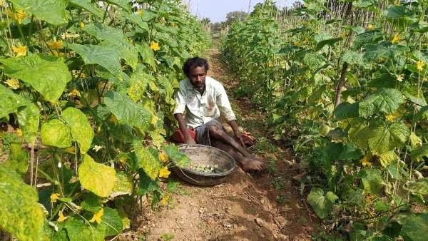 ಶಾಸಕರು ಸಹಾಯ ಮಾಡಲಿದ್ದಾರೆಯೇ?