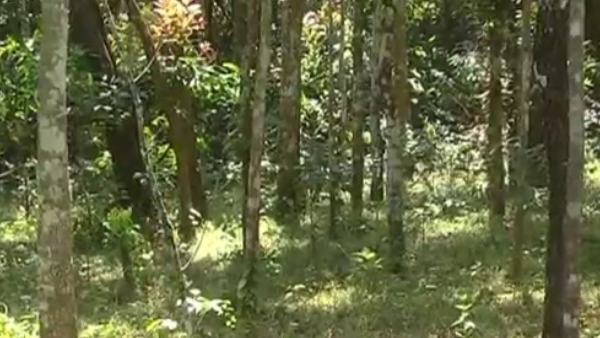 ಲಂಚ ಕೇಳುತ್ತಿರುವ ಅಧಿಕಾರಿಗಳು