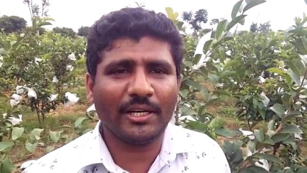1,500 ಸಸಿಗಳನ್ನು ಹಾಕಿದ್ದಾರೆ
