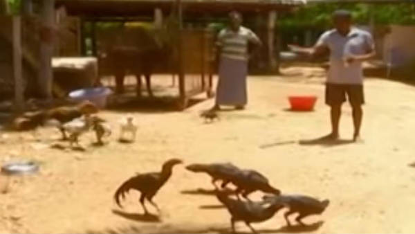 ಸ್ಥಳೀಯರಿಗೆ ಮಾದರಿಯಾದ ರೈತ