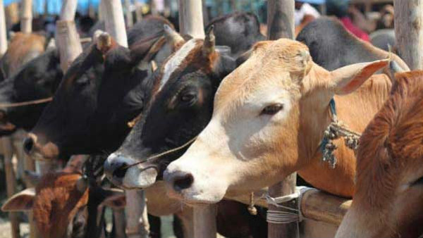 ದೇಶದಲ್ಲಿ ಕಾಂಗ್ರೆಸ್ ಅವಸಾನಕ್ಕೆ ನಾಲ್ಕು ಶಾಪಗಳು - 4