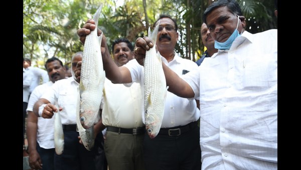ಮೀನುಗಾರಿಕೆ ಕೊಡುಗೆ