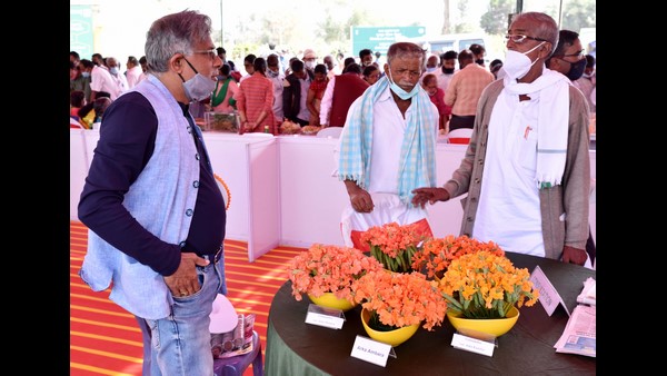 ರೋಗ ನಿರೋಧಕ ಶಕ್ತಿ