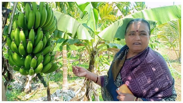 ಕೃಷಿಗೆ ಆಧುನಿಕ ಯಂತ್ರಗಳ ಬಳಕೆ
