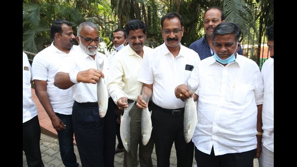 ಶೇ. 75 ರಷ್ಟು ಗಳಿಕೆ ಇಂಧನಕ್ಕೆ ವ್ಯಯ
