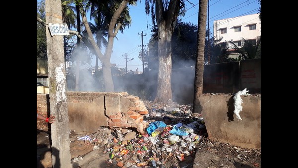 ವಿಷಕಾರಿ ಅಂಶದಿಂದ ರಕ್ತ ಸಂಚಾರಕ್ಕೂ ತೊಂದರೆ