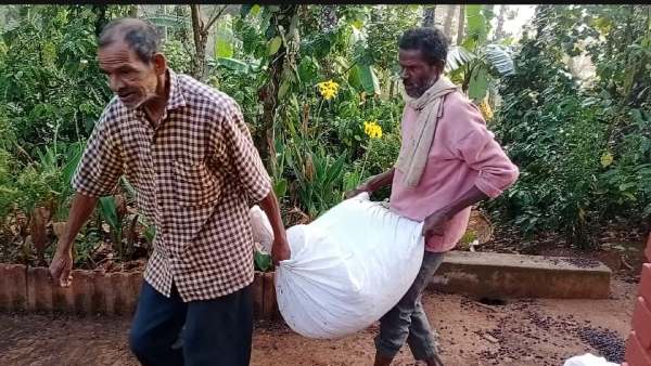 ಮಳೆಯ ವಿವರಗಳು