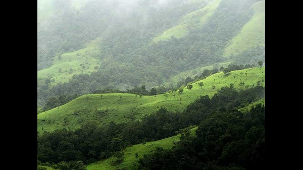 ವಾಣಿಜ್ಯ ಚಟುವಟಿಕೆಗಳ ಮೇಲೆ ಸಂಪೂರ್ಣ ನಿಷೇಧ