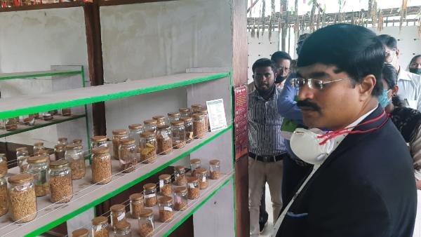 ಸುವಾಸನೆ ಭರಿತ ಔಷಧೀಯ ಗುಣಗಳ ಭತ್ತ