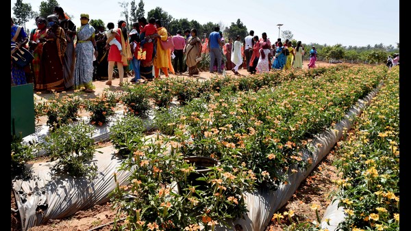 ಮಳವಳ್ಳಿ ರೈತರ ಗುಂಪು