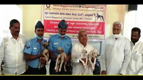 ಐದು ಕೋಟಿ ರೂ ಅನುದಾನ