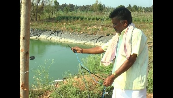 Solar Powered Electric Fences Secured Crops From Elephant