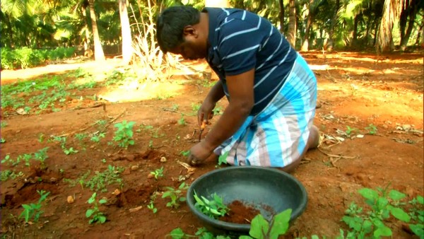 ತಮ್ಮ ಸಂಬಳದಲ್ಲಿ 40% ಹಣ ಗಿಡಗಳಿಗೆ ಮೀಸಲು