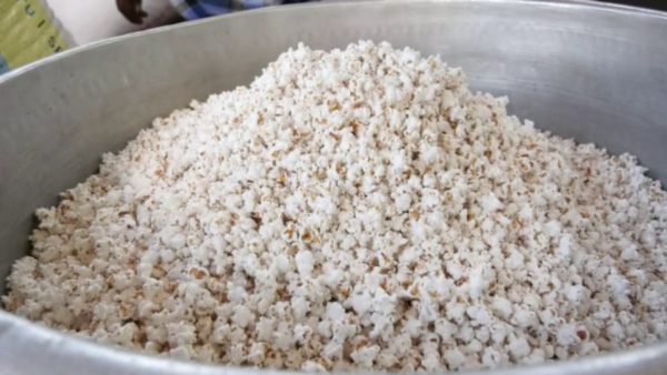 ಮೂರು ತಿಂಗಳು ಸಸ್ಯಹಾರ ಸೇವನೆ
