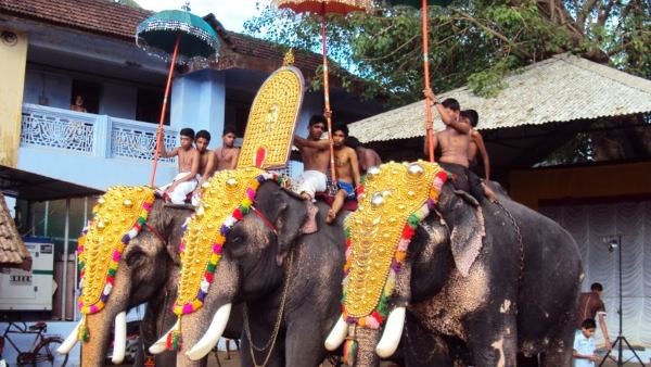 ಕೇರಳದಲ್ಲಿ ಇದೀಗ ಗಮನ ಸೆಳೆದಿರುವ ಚುನಾವಣೆ