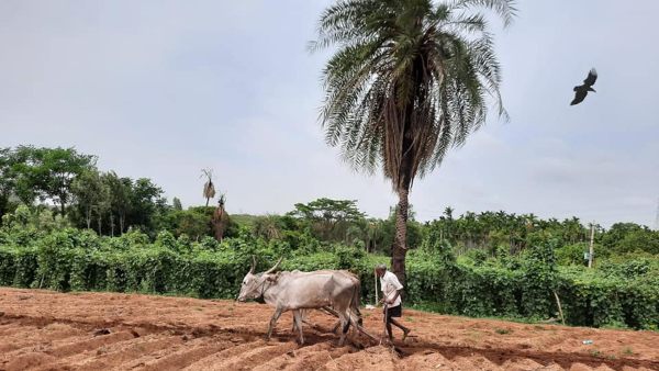 ಜಮೀನು ಮಾಲೀಕರು ಹೇಳುವುದೇನು?