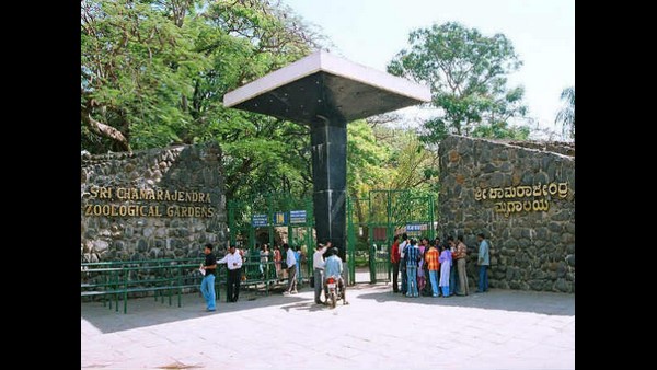 ಕೈಗಾರಿಕಾ ವಲಯದಲ್ಲೂ ನಿರೀಕ್ಷೆ ಹೆಚ್ಚಿದೆ