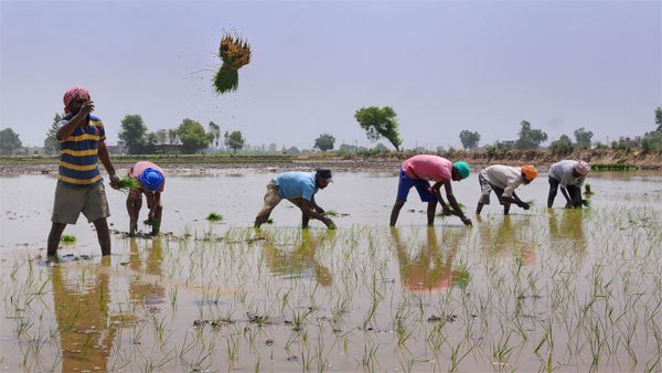 ರೈತರಿಗೆ ಸಲ್ಲಬೇಕಾದ ಆದಾಯ ತಲುಪಬೇಕು