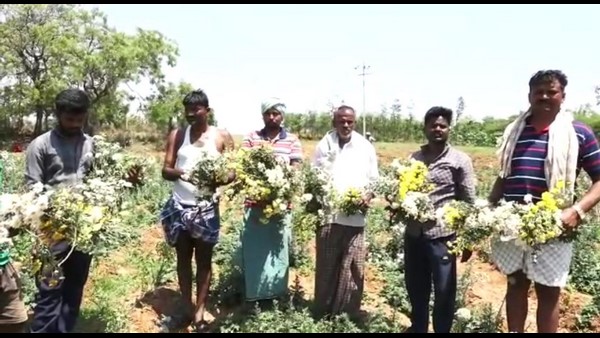ರೈತರ ಆಕ್ರೋಶದ ಕಟ್ಟೆ ಹೊಡೆಯುವಂತೆ ಮಾಡಿದೆ
