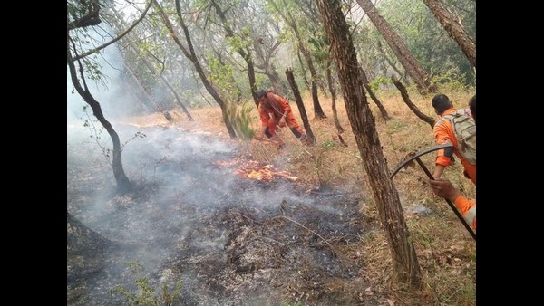 ಚಳಿಯಲ್ಲೂ ಬೆಂಕಿ ಹೊತ್ತಿಕೊಂಡಿದೆ