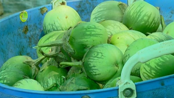 ತಡೆಗೋಡೆ ನಿರ್ಮಾಣ ಮಾಡಿ