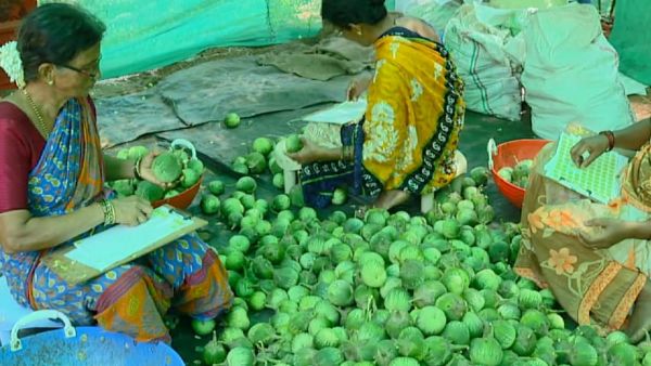 ಮಾರುಕಟ್ಟೆ ವ್ಯವಸ್ಥೆ ಭರವಸೆ