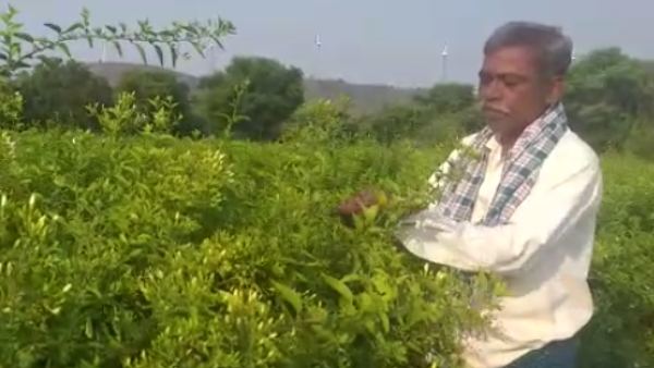 ಎಷ್ಟು ಎಕರೆಗಳಲ್ಲಿ & ಯಾವ ಹಳ್ಳಿಗಳಲ್ಲಿ ಬೆಳೆ