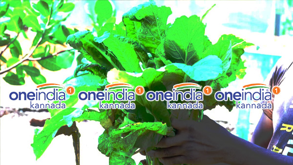 ಬೆಳೆಗಳೆಲ್ಲ ಹಾಳಾಗುವ ಆತಂಕ