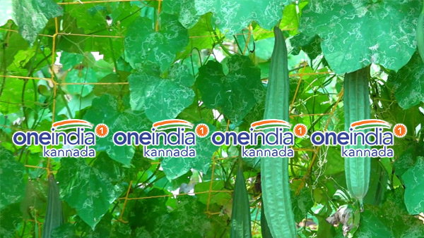ಈ ಬಾರಿ ಬೆಳೆಗೆ ಕೊರೊನಾಘಾತ