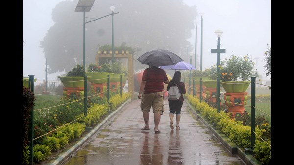 ಕಾಡ್ಗಿಚ್ಚಿನಿಂದ ಪಾರಾದ ಅರಣ್ಯಗಳು