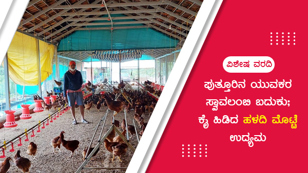 ಕೋಳಿ ಮೊಟ್ಟೆಗಳ ಸಾಕಾಣಿಕೆ ಆರಂಭ