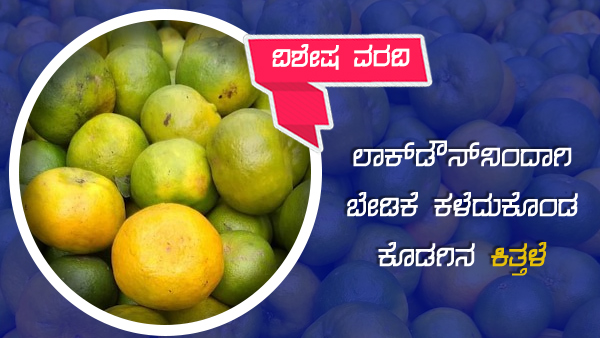 ಬಾಯಲ್ಲಿ ನೀರೂರಿಸುವ ಕೊಡಗಿನ ಕಿತ್ತಳೆ
