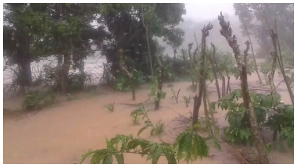 Heavy Rain In Chikkamagaluru: Overflowing Bhadra River On Hebbale Bridge Heavy Rain In Chikkamagaluru: Overflowing Bhadra River On Hebbale Bridge