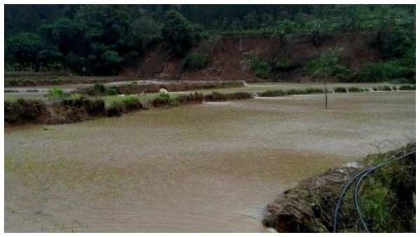 124.80 ಅಡಿ ಸಾಮರ್ಥ್ಯದ ಕೆಆರ್ಎಸ್