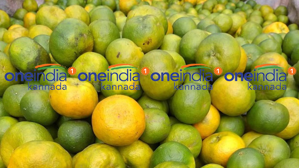 ಕೆಜಿ ಕಿತ್ತಳೆಗೆ 20 ರಿಂದ 25 ರೂ.ಗಳನ್ನಷ್ಟೇ ನೀಡುತ್ತಾರೆ