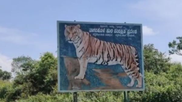 ರಾಷ್ಟ್ರೀಯ ಹುಲಿ ಸಮೀಕ್ಷೆ