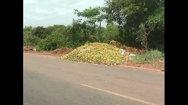 ಕೆಜಿ ಮಾವು ಬೆಲೆ 6 ರೂಪಾಯಿ