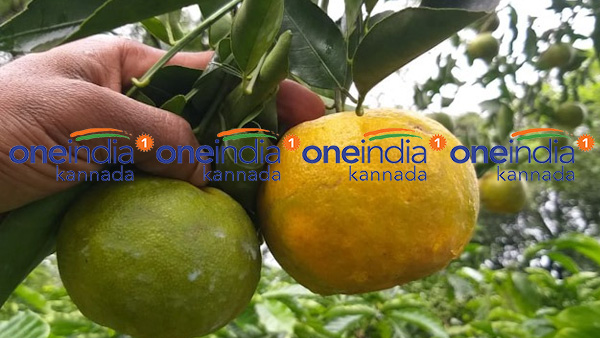 ಪ್ರವಾಸಿಗರು ಬಂದರಷ್ಟೇ ಉತ್ತಮ ವ್ಯಾಪಾರ